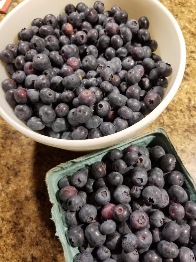 Blueberry Fields Bed & Breakfast Jefferson Экстерьер фото